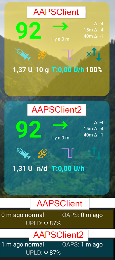 AAPSClient и AAPSClient2